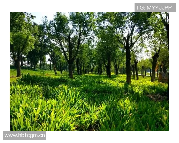 奥特古德温刻苦训练成效显著期待他未来更精彩的表现 奥特古德温刻苦训练成效显著期待他未来更精彩的表现